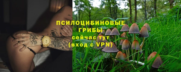 ГАЛЛЮЦИНОГЕННЫЕ ГРИБЫ Абинск
