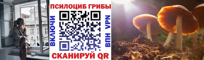 блэк спрут маркетплейс  магазин    Нижний Ломов  Псилоцибиновые грибы MAGIC MUSHROOMS 